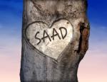 saadoviche
